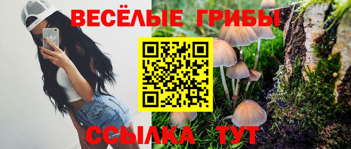 Галлюциногенные грибы GOLDEN TEACHER Алексин