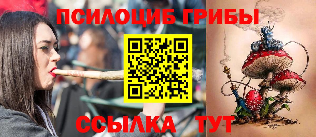 Псилоцибиновые грибы Psilocybe  Вход с VPN  Алексин  Галлюциногенные грибы прущие грибы 